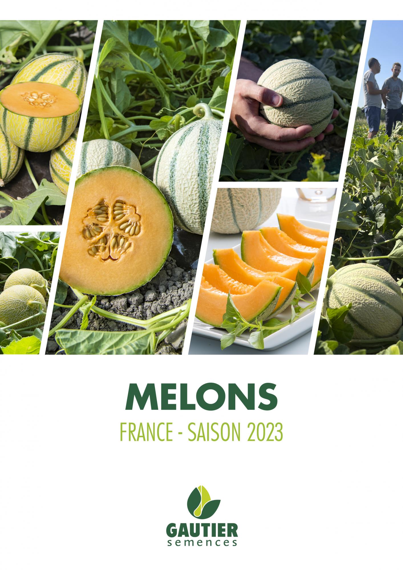 Brochure Melon