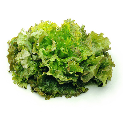 GRENOBLOISE