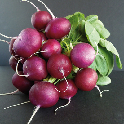 BACCHUS Hybride