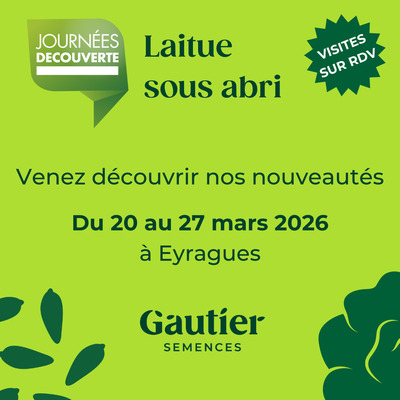 Journ�es D�couverte : Laitues sous abri