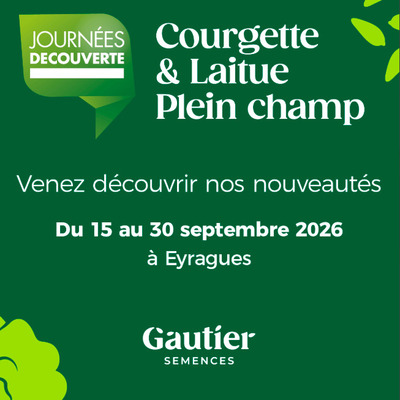 Journ�es D�couverte Septembre : courgette & laitue plein champ